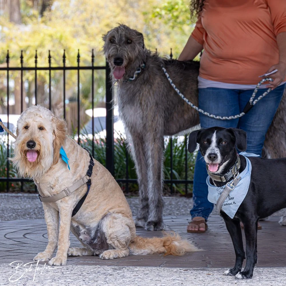 20250329-Salty Dog Day -23.jpg