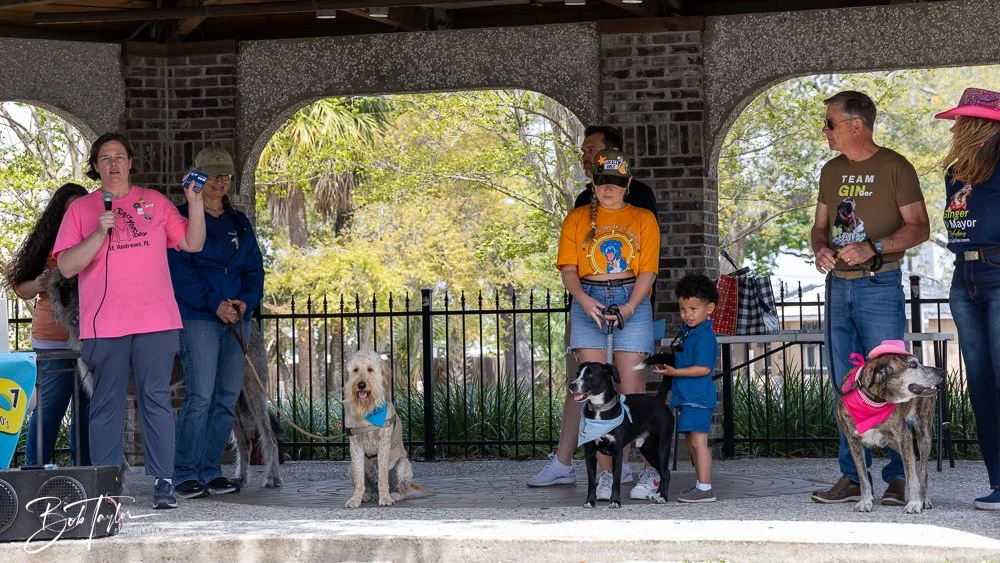 20250329-Salty Dog Day -35.jpg