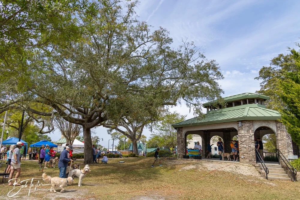 20250329-Salty Dog Day -17.jpg