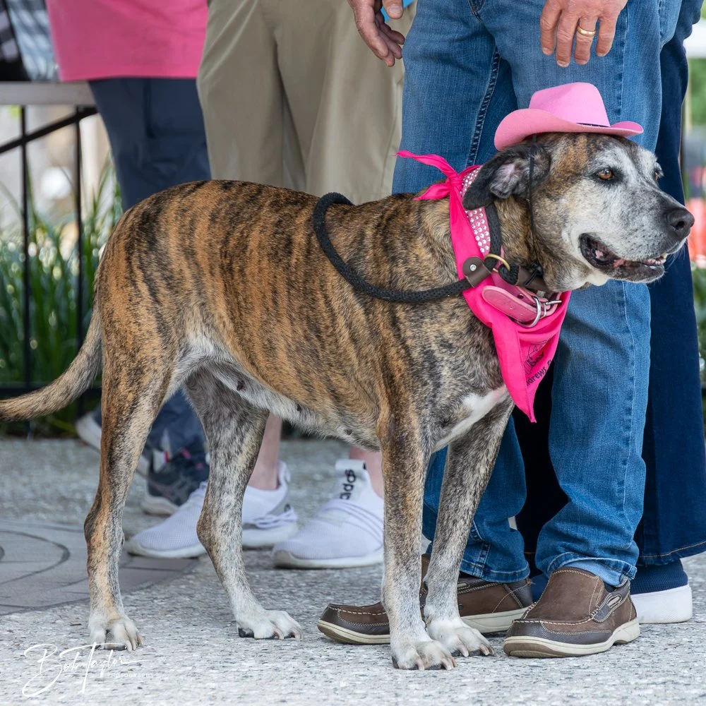 20250329-Salty Dog Day -18.jpg