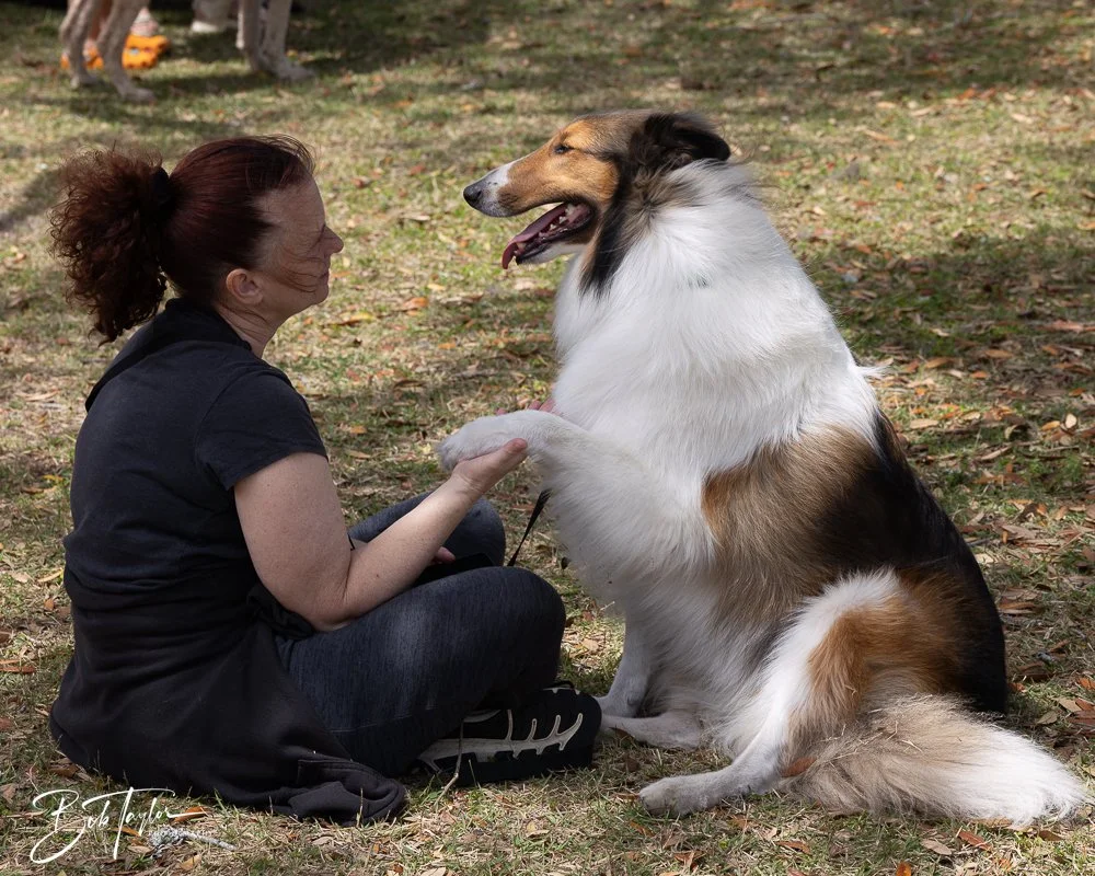 20250329-Salty Dog Day -33.jpg