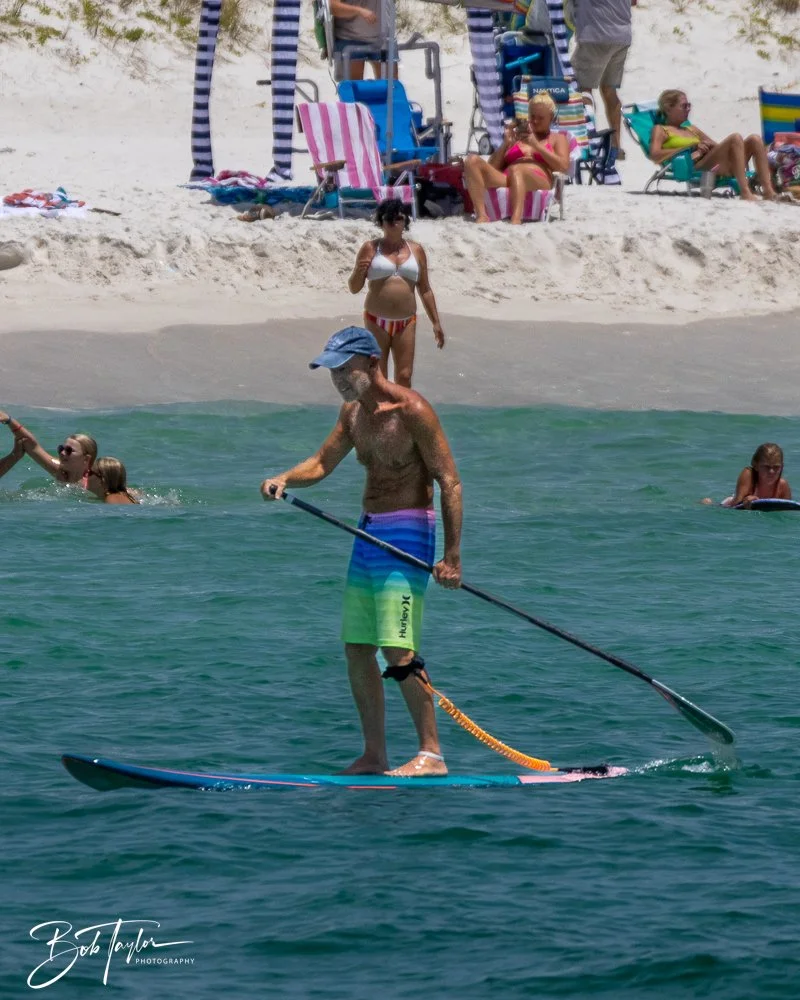 20240803-20240803-Sea Screamer Logo -41-2.jpg