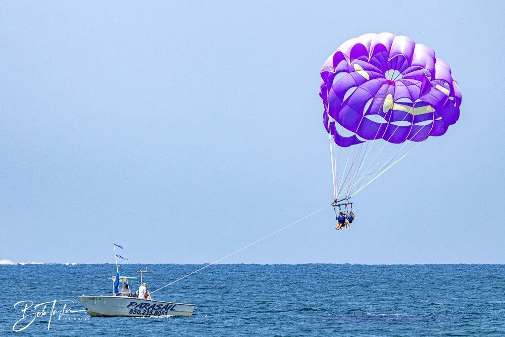 20240803-20240803-Sea Screamer Logo -37-2.jpg