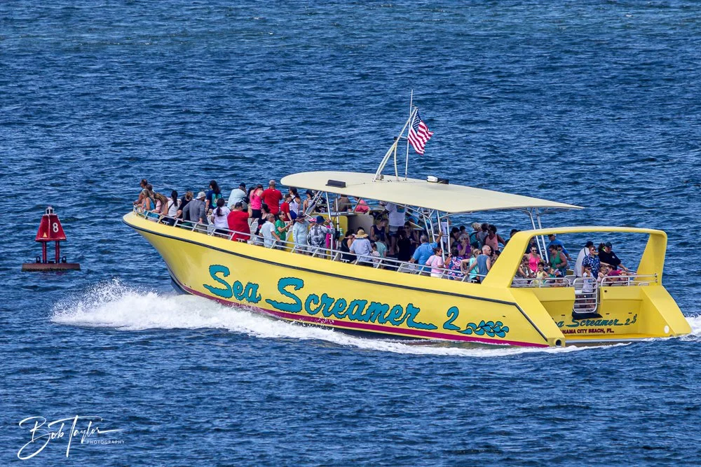 20240624-20240624-Sea Screamer Logo -21-2.jpg