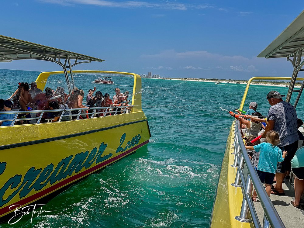 20240803-20240803-Sea Screamer Logo -61-2.jpg