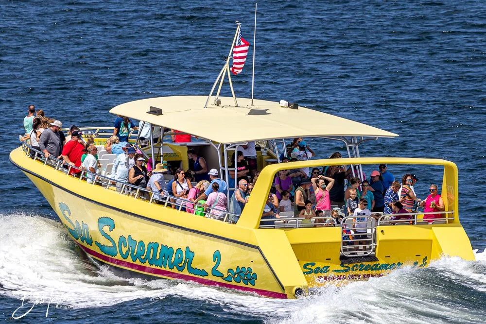 20240624-20240624-Sea Screamer Logo -19-2.jpg