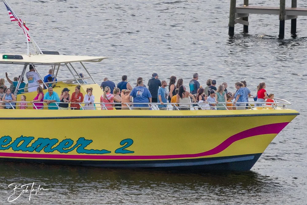 20240630-20240630-Sea Screamer Logo -24-2.jpg