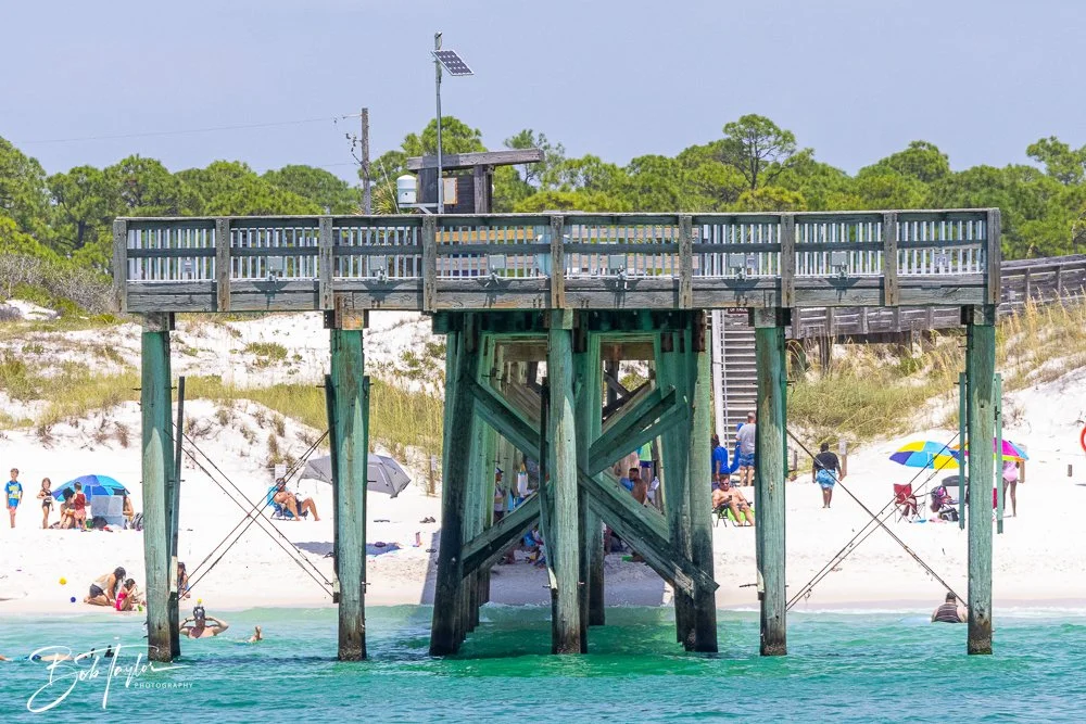 20240803-20240803-Sea Screamer Logo -45-2.jpg