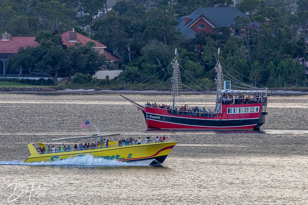 20240620-20240620-Sea Screamer Logo -9-2.jpg