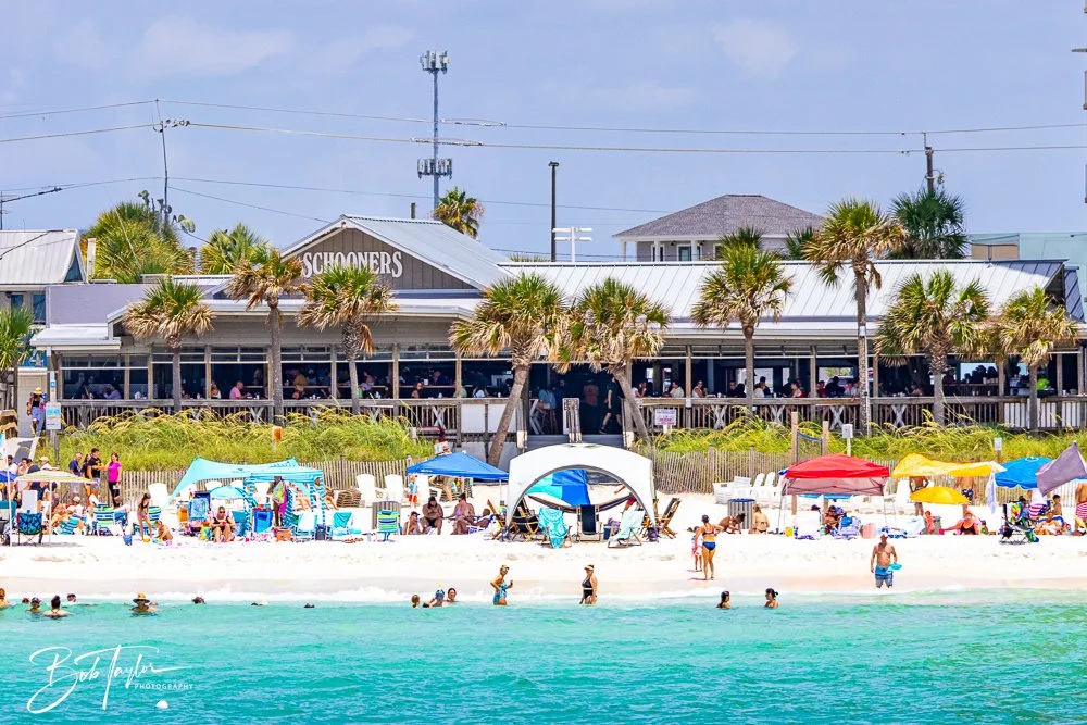 20240803-20240803-Sea Screamer Logo -38-2.jpg