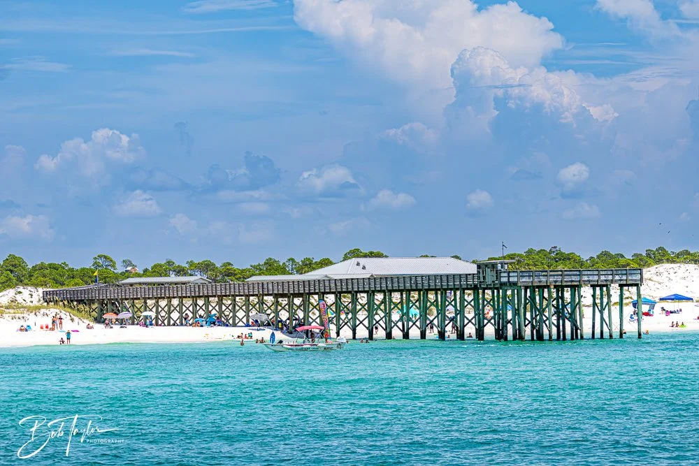 20240803-Sea Screamer 2 -7.jpg