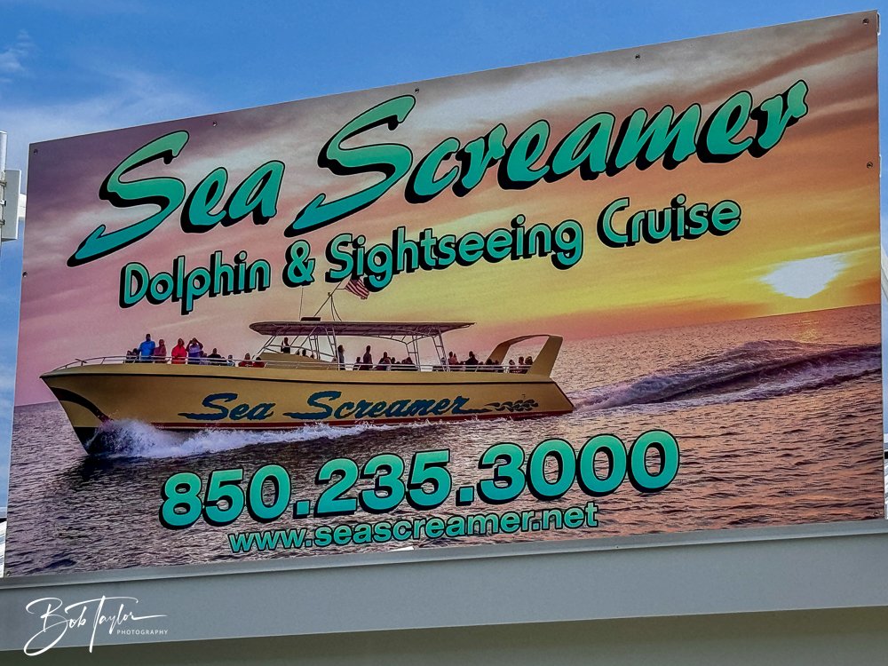 20240803-20240803-Sea Screamer Logo -32-2.jpg