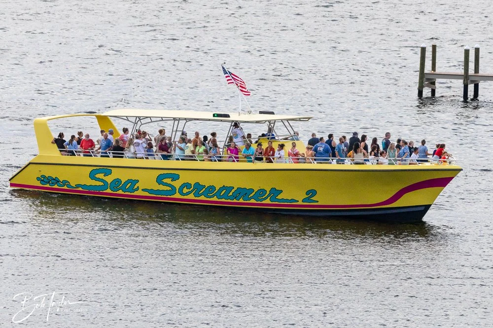 20240630-20240630-Sea Screamer Logo -23-2.jpg