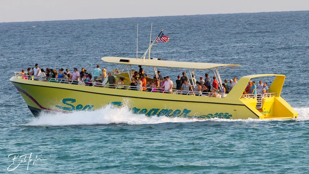 20240613-20240613-Sea Screamer Logo -8-2.jpg