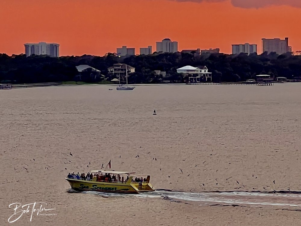 20230808-20230808-Sea Screamer Logo -3-2.jpg