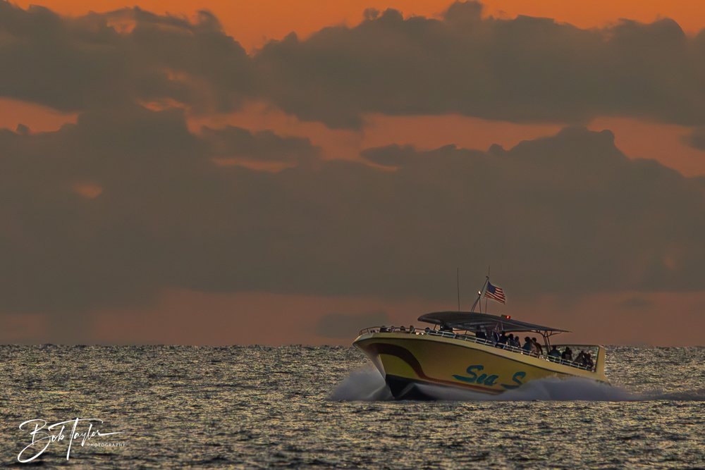 20231018-20231018-Sea Screamer Logo -5-2.jpg