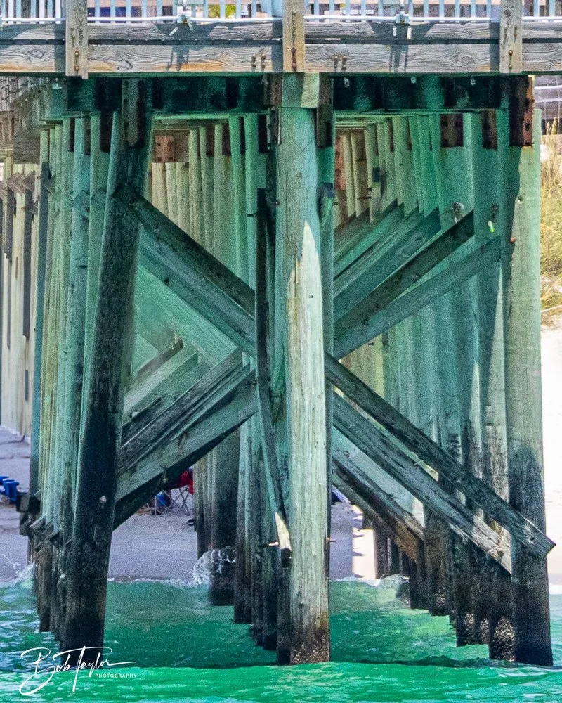 20240803-20240803-Sea Screamer Logo -44-2.jpg