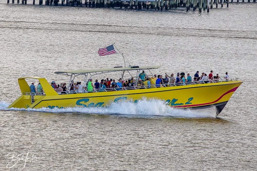 20240620-20240620-Sea Screamer Logo -10-2.jpg