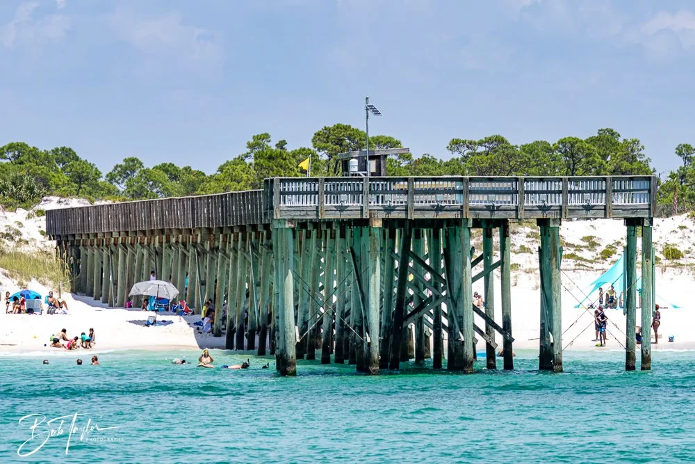 20240803-Sea Screamer 2 -8.jpg