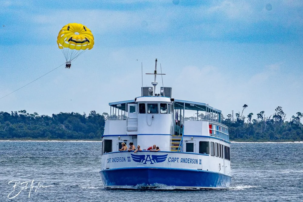 20240803-20240803-Sea Screamer Logo -33-2.jpg