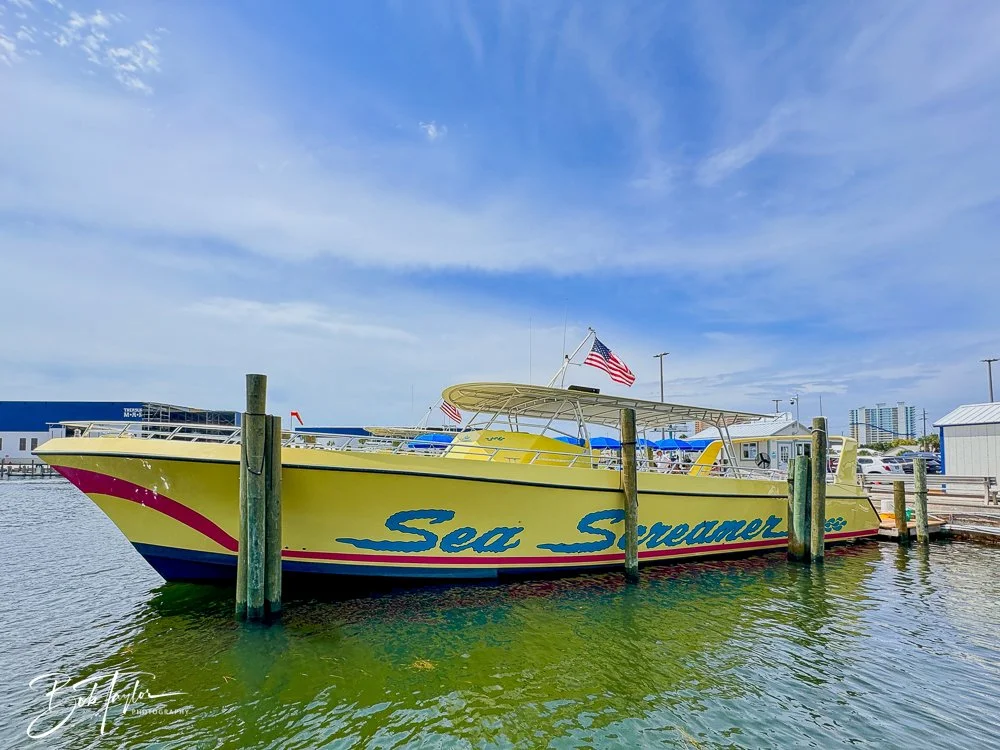 20240803-20240803-Sea Screamer Logo -31-2.jpg