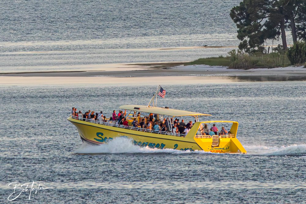 20240621-20240621-Sea Screamer Logo -14-2.jpg