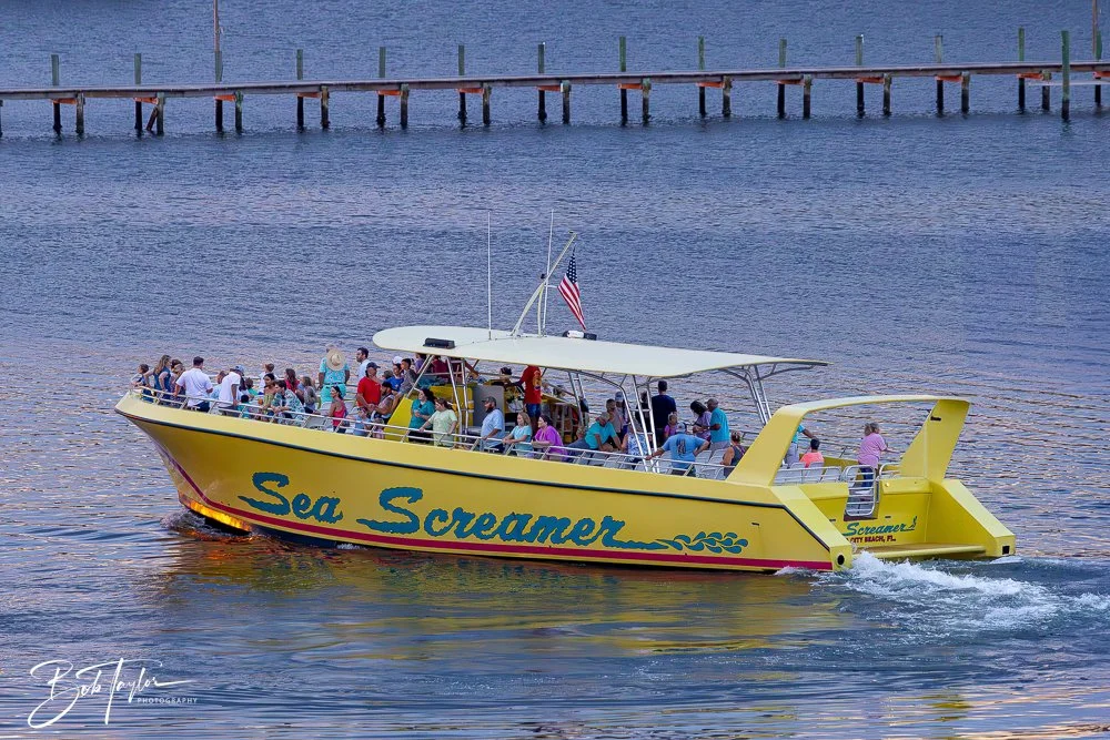 20240620-20240620-Sea Screamer Logo -13-2.jpg