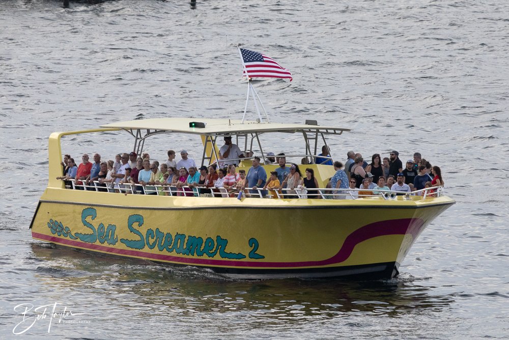 20240630-20240630-Sea Screamer Logo -22-2.jpg