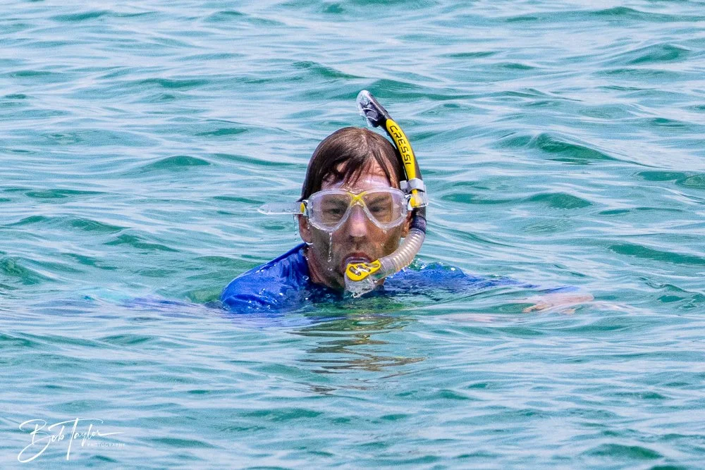 20240803-20240803-Sea Screamer Logo -35-2.jpg