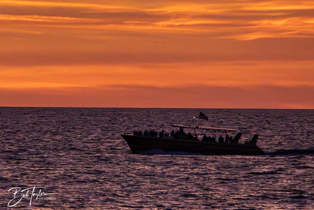 20231021-20231021-Sea Screamer Logo -7-2.jpg