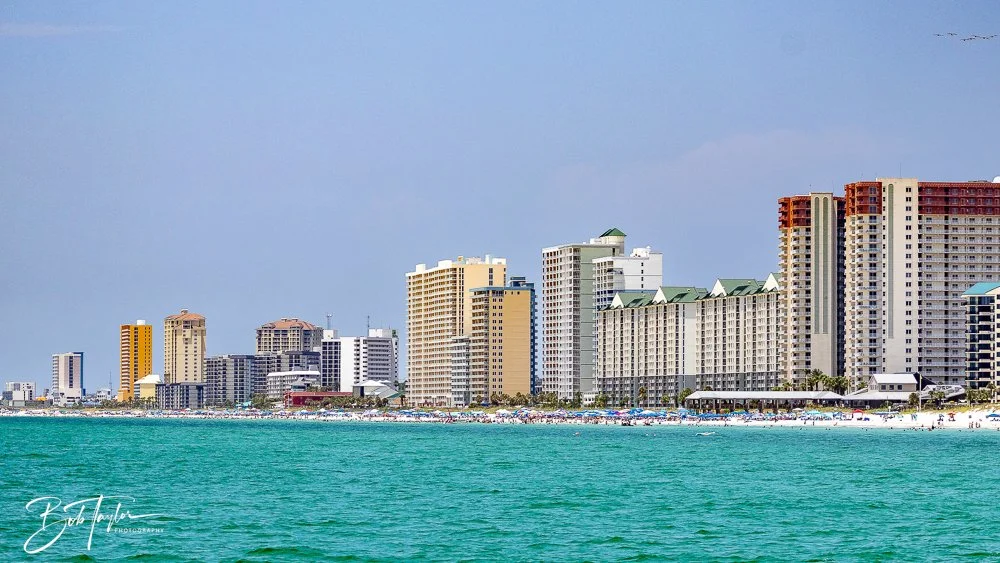 20240803-20240803-Sea Screamer Logo -39-2.jpg