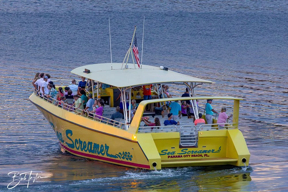 20240620-20240620-Sea Screamer Logo -12-2.jpg