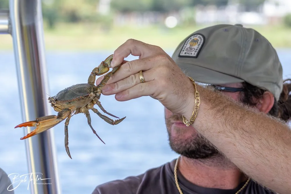 20240803-Sea Screamer 2 -11.jpg