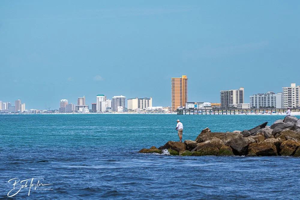 20240803-20240803-Sea Screamer Logo -34-2.jpg