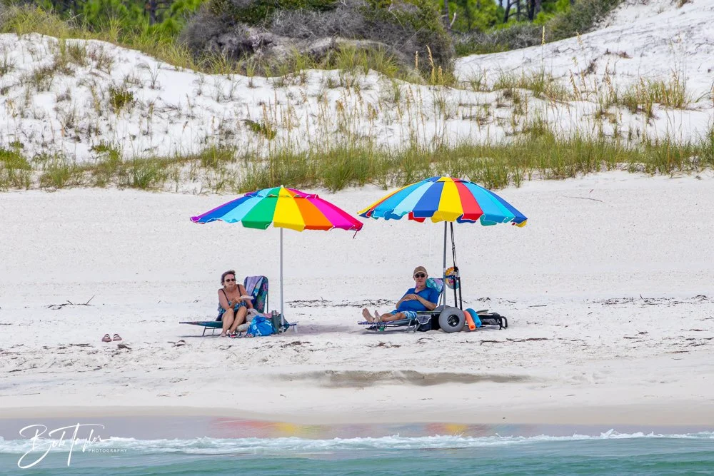 20240803-Sea Screamer 2 -6.jpg