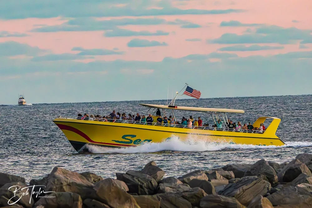 20231018-20231018-Sea Screamer Logo -6-2.jpg