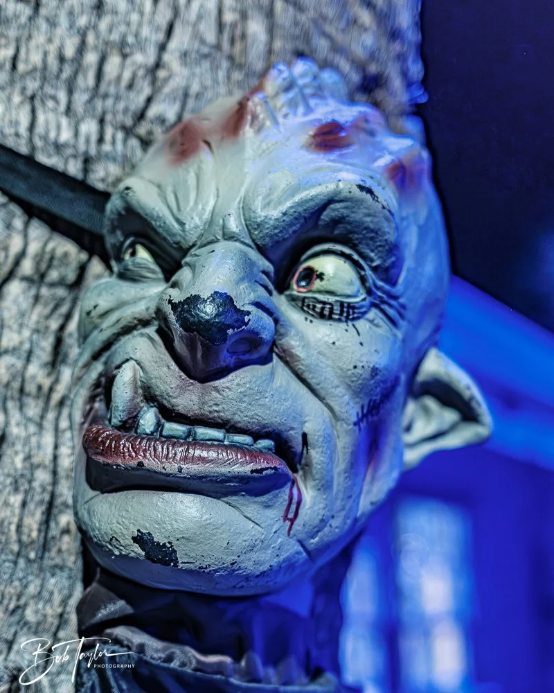 20251018-Mind Plays -22.jpg