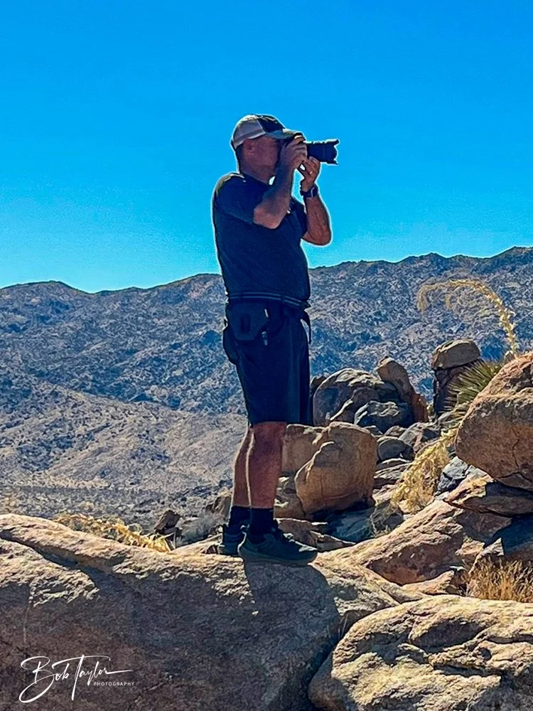 20241108-20241108-Joshua Tree -4-2.jpg