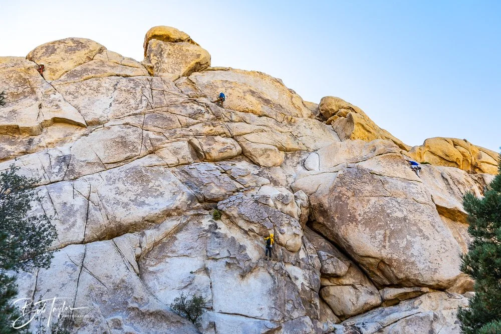 20241108-20241108-Joshua Tree -15-2.jpg