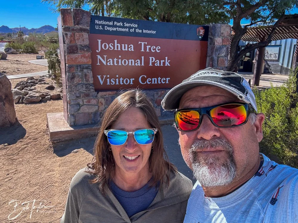 20241108-20241108-Joshua Tree -1-2.jpg