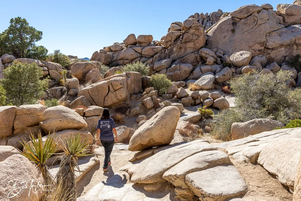 20241108-20241108-Joshua Tree -17-2.jpg