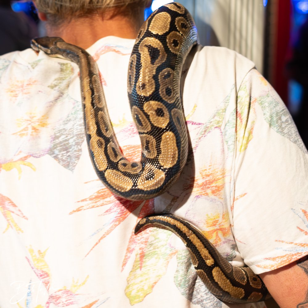 20250425-Mind Plays -36.jpg