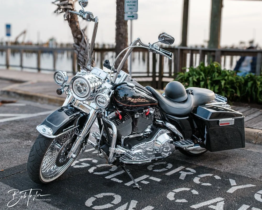 20250425-Mind Plays -1.jpg