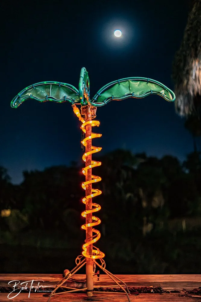 20251104-Little Village -10.jpg