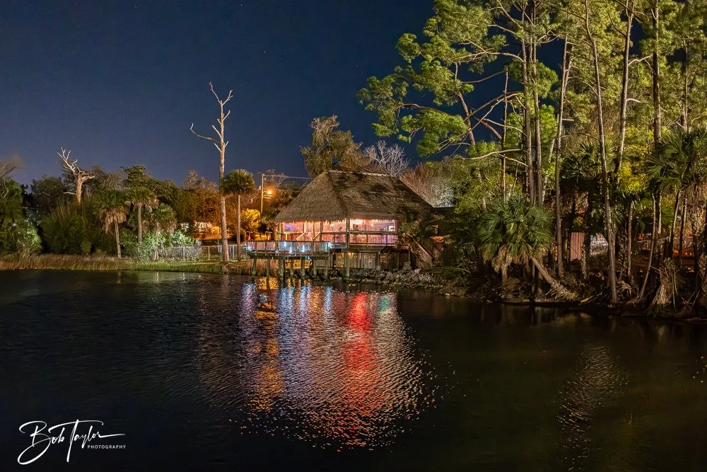 20250321-Little Village L -21.jpg