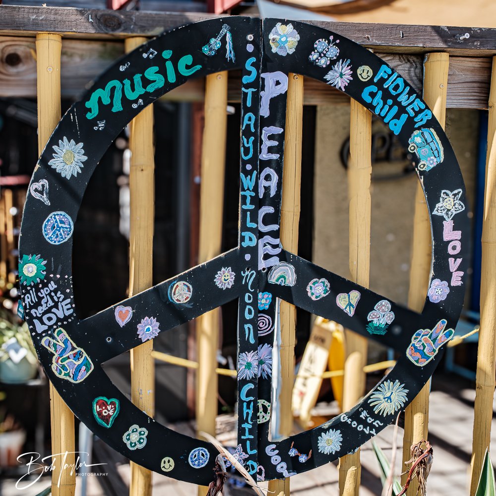 20250504-Ukes -27.jpg