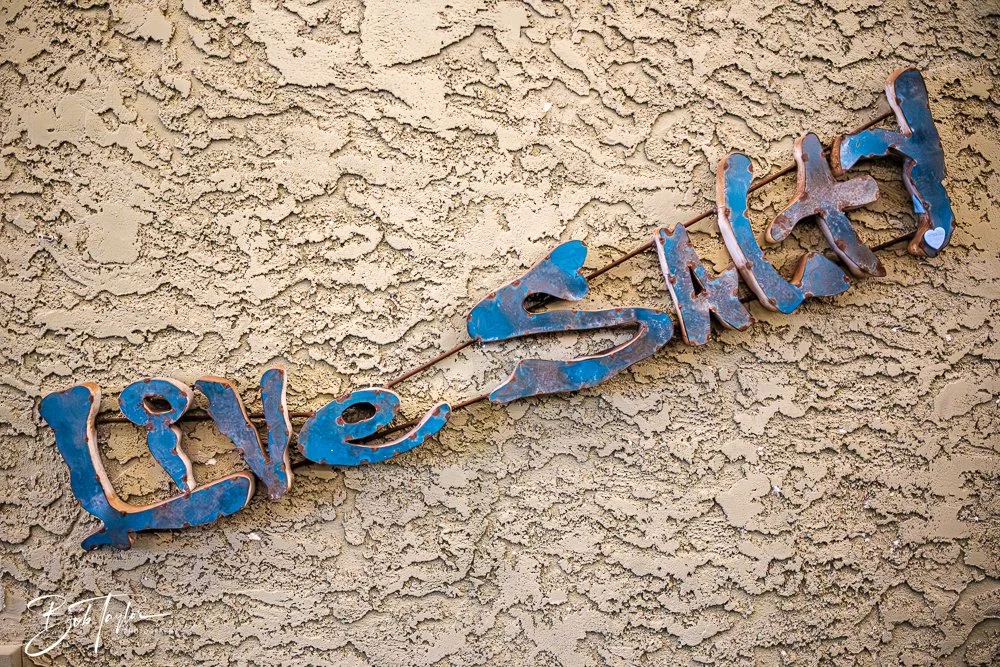 20251104-Little Village -24.jpg