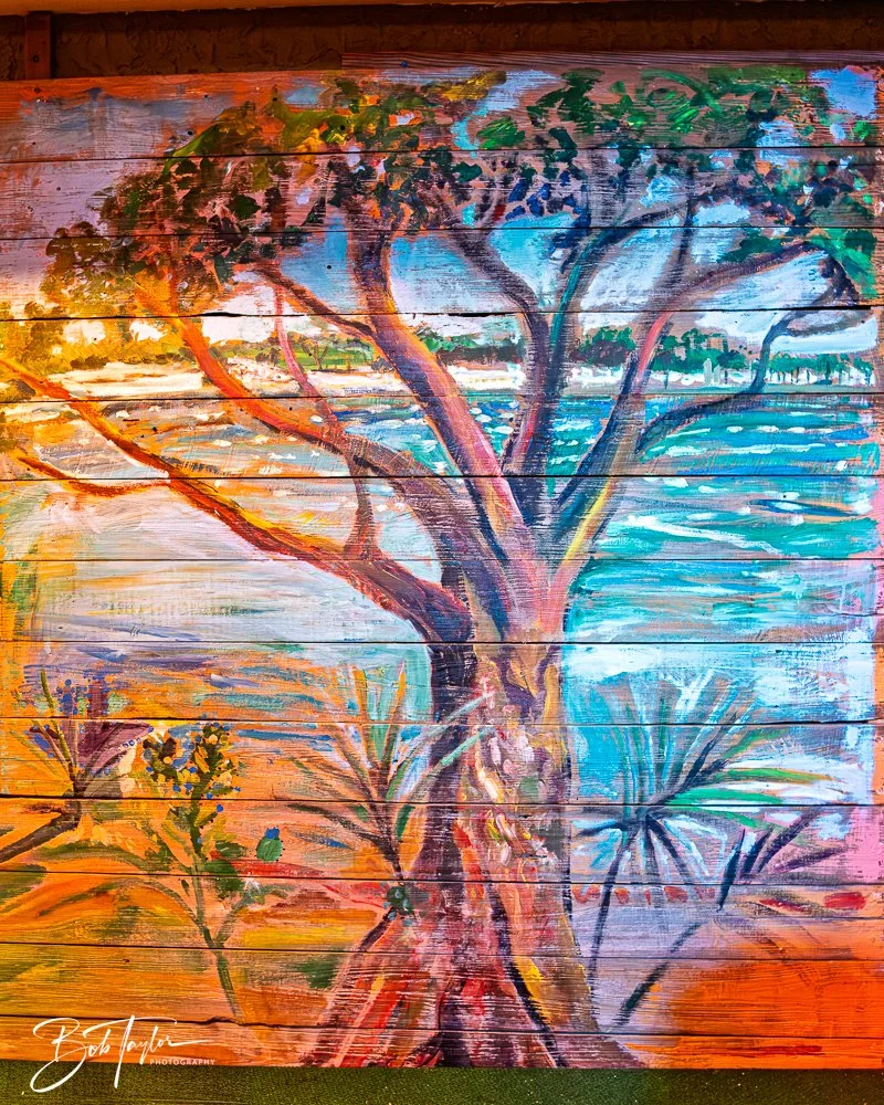 20251104-Little Village -16.jpg