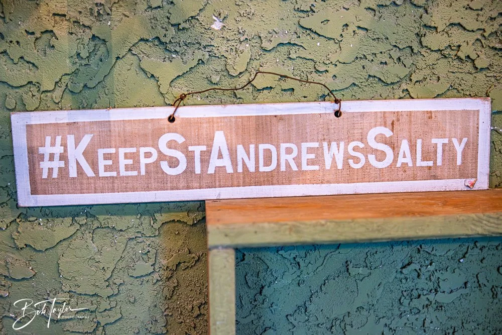 20251104-Little Village -25.jpg