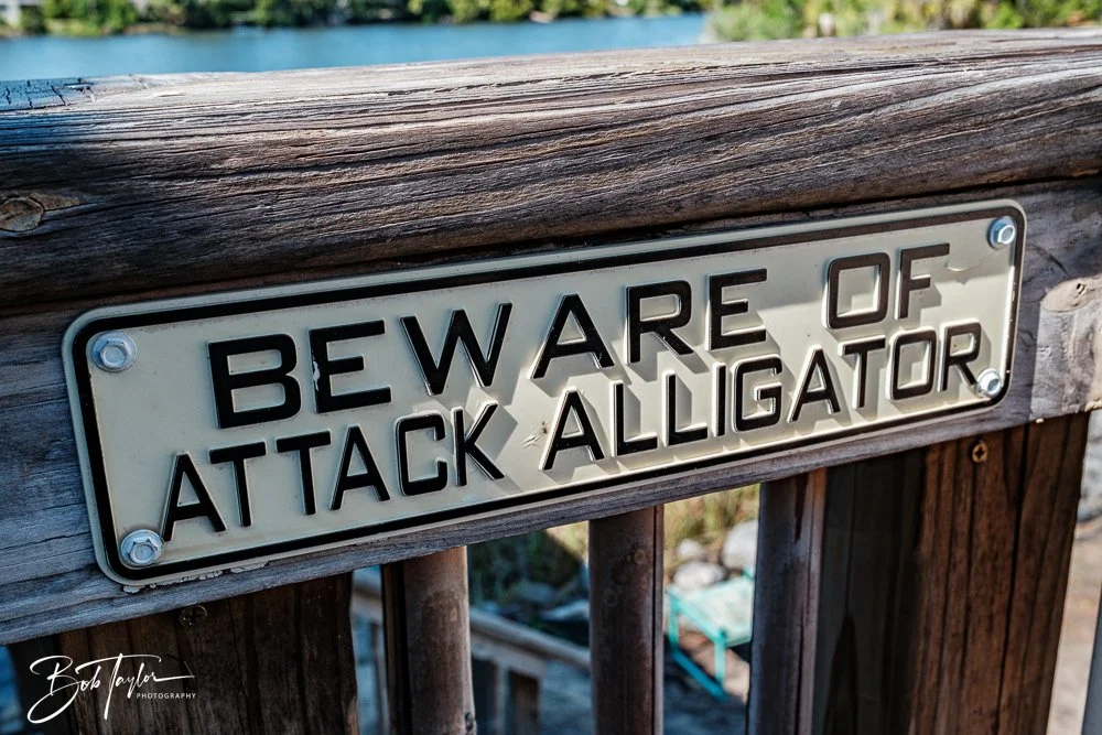 20250504-Ukes -24.jpg